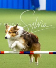 2025-10-12-BANDA-SUN-299