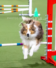 2025-10-12-BANDA-SUN-303