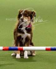 2025-10-12-BANDA-SUN-306