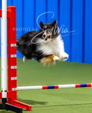 2025-10-12-BANDA-SUN-32