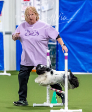 2025-10-12-BANDA-SUN-321