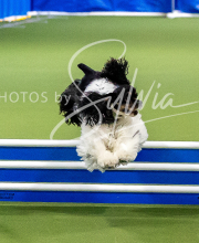 2025-10-12-BANDA-SUN-323