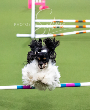 2025-10-12-BANDA-SUN-325