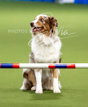 2025-10-12-BANDA-SUN-329