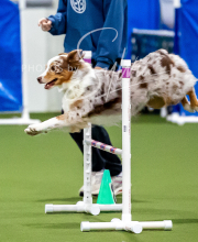 2025-10-12-BANDA-SUN-332