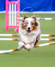 2025-10-12-BANDA-SUN-334