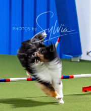 2025-10-12-BANDA-SUN-34