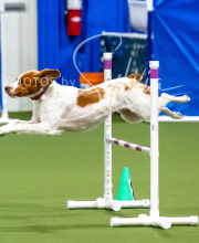 2025-10-12-BANDA-SUN-341