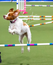 2025-10-12-BANDA-SUN-343