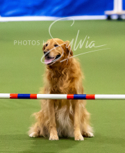 2025-10-12-BANDA-SUN-348