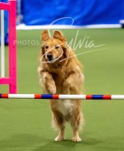 2025-10-12-BANDA-SUN-353