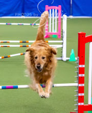 2025-10-12-BANDA-SUN-359