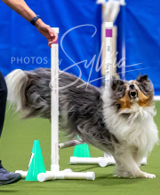 2025-10-12-BANDA-SUN-36