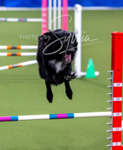 2025-10-12-BANDA-SUN-365