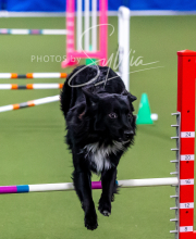 2025-10-12-BANDA-SUN-367