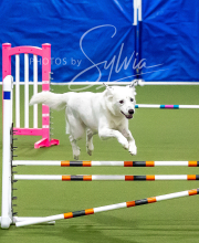 2025-10-12-BANDA-SUN-373