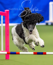 2025-10-12-BANDA-SUN-377