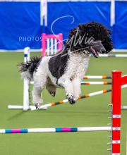 2025-10-12-BANDA-SUN-382