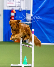 2025-10-12-BANDA-SUN-386