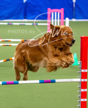 2025-10-12-BANDA-SUN-388