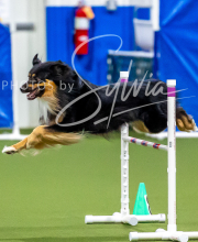 2025-10-12-BANDA-SUN-394