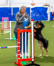 2025-10-12-BANDA-SUN-401