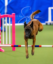 2025-10-12-BANDA-SUN-406