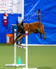 2025-10-12-BANDA-SUN-407