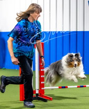 2025-10-12-BANDA-SUN-41