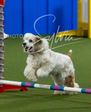 2025-10-12-BANDA-SUN-417