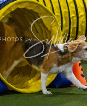 2025-10-12-BANDA-SUN-420