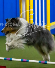 2025-10-12-BANDA-SUN-442