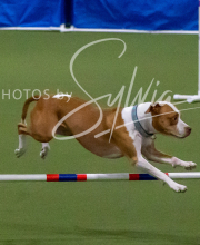 2025-10-12-BANDA-SUN-449