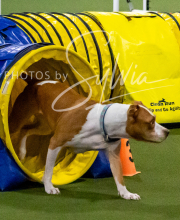 2025-10-12-BANDA-SUN-466