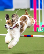 2025-10-12-BANDA-SUN-47