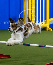 2025-10-12-BANDA-SUN-476