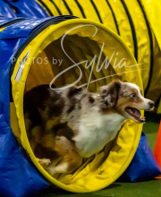 2025-10-12-BANDA-SUN-482