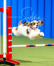 2025-10-12-BANDA-SUN-49