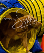 2025-10-12-BANDA-SUN-502