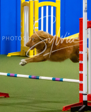 2025-10-12-BANDA-SUN-505