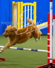 2025-10-12-BANDA-SUN-506