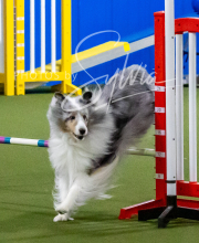 2025-10-12-BANDA-SUN-509