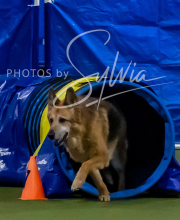 2025-10-12-BANDA-SUN-515