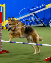 2025-10-12-BANDA-SUN-518