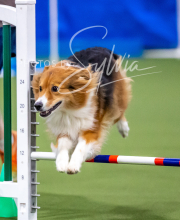 2025-10-12-BANDA-SUN-52