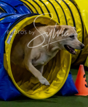 2025-10-12-BANDA-SUN-521