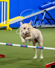 2025-10-12-BANDA-SUN-525