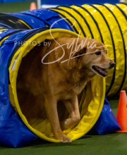 2025-10-12-BANDA-SUN-528