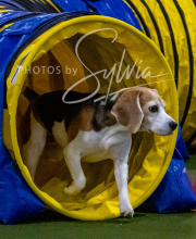 2025-10-12-BANDA-SUN-537