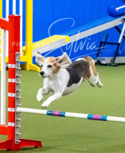 2025-10-12-BANDA-SUN-541